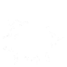 Saving account icon